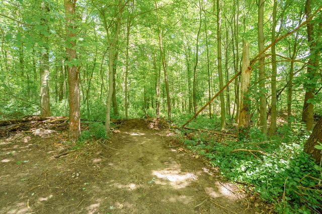 4445 Sassafras Lane, Bedford Twp, MI 49017