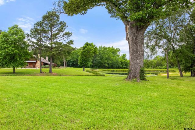 20108 CR 452, Mineola, TX 75773