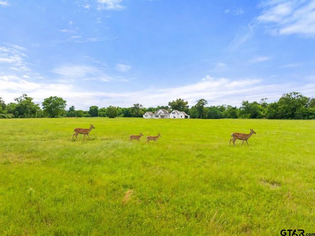 20108 CR 452, Mineola, TX 75773