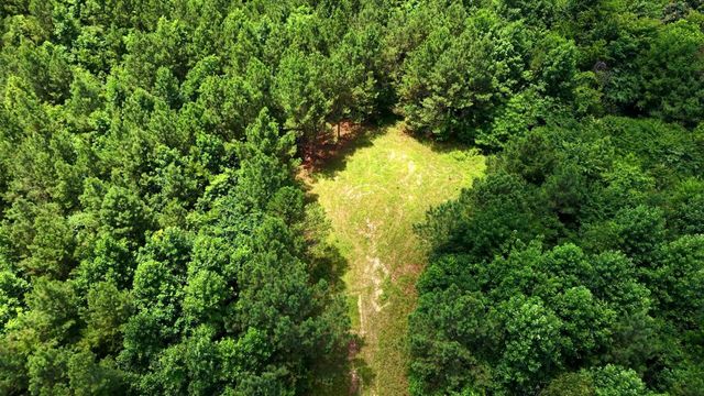 0 Cox Hollow, Dover, TN 37058