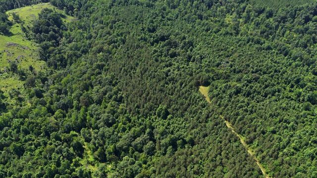 0 Cox Hollow, Dover, TN 37058