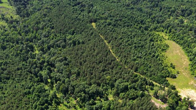 0 Cox Hollow, Dover, TN 37058