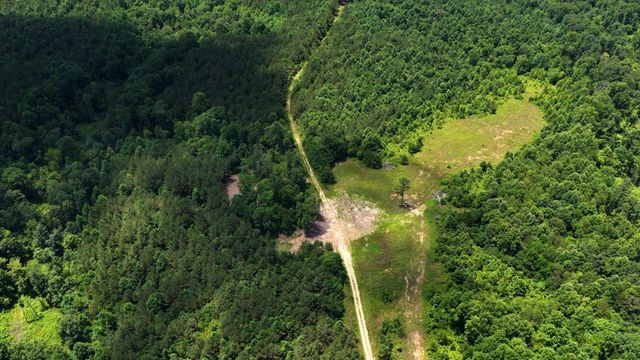 0 Cox Hollow, Dover, TN 37058