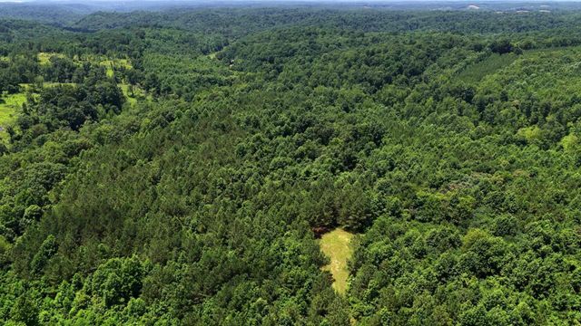 0 Cox Hollow, Dover, TN 37058