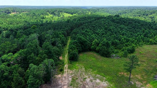 0 Cox Hollow, Dover, TN 37058