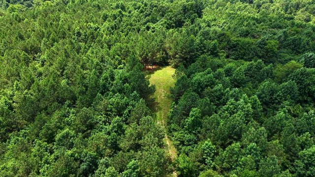 0 Cox Hollow, Dover, TN 37058