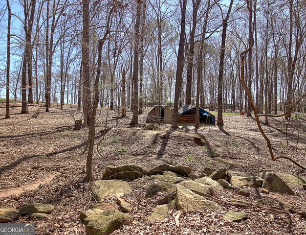 373 Blanton Mill Road, Griffin, GA 30224