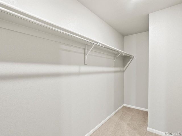 6754 Roundtail Way, Colorado Springs, CO 80925