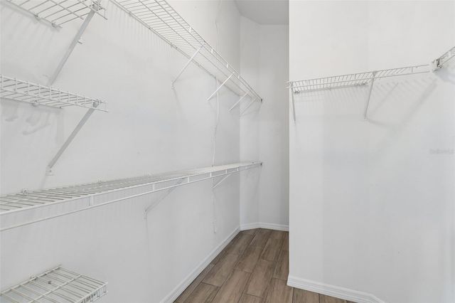 30449 TREMONT DRIVE, Wesley Chapel, FL 33543