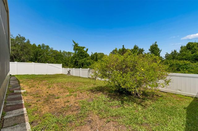 30449 TREMONT DRIVE, Wesley Chapel, FL 33543