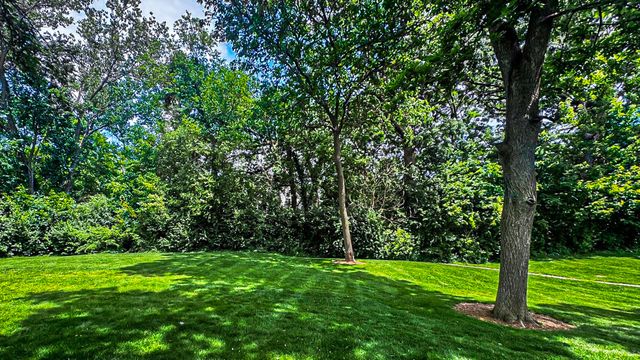 263 S Collins Street, South Elgin, IL 60177