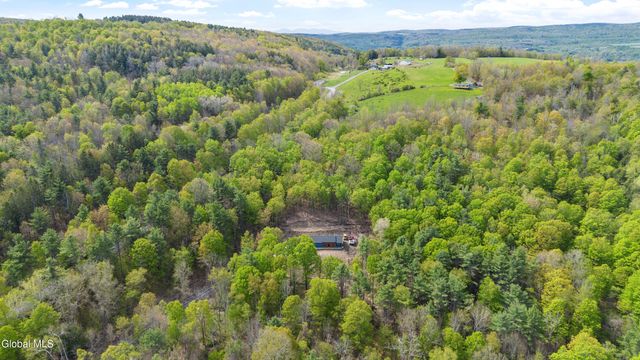 727 Irish Hill Road, Berne, NY 12023