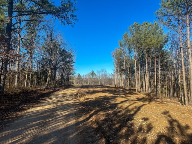 0 Firetower Rd, Centerville, TN 37033