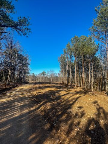 0 Firetower Rd, Centerville, TN 37033