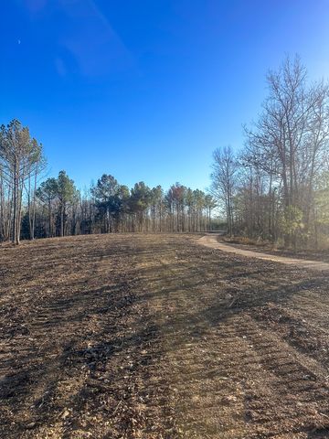 0 Firetower Rd, Centerville, TN 37033