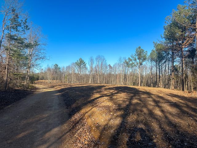 0 Firetower Rd, Centerville, TN 37033