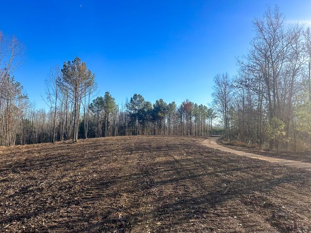 0 Firetower Rd, Centerville, TN 37033