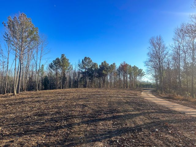 0 Firetower Rd, Centerville, TN 37033