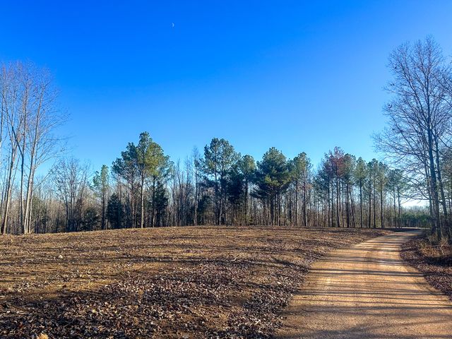 0 Firetower Rd, Centerville, TN 37033