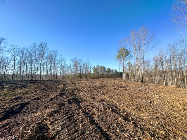 0 Firetower Rd, Centerville, TN 37033