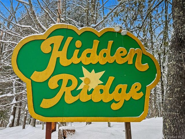 51 Hidden Ridge Terrace, Monticello, NY 12701