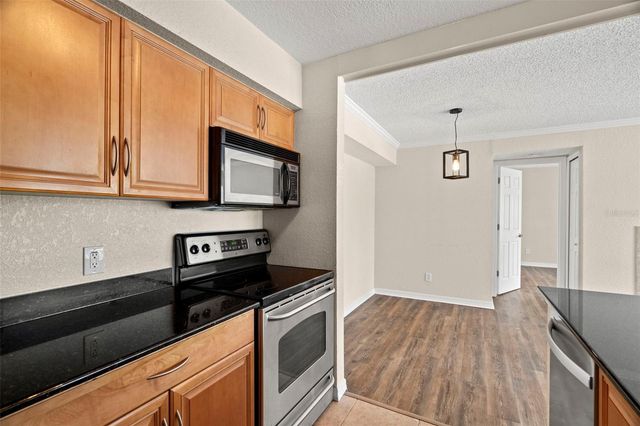 3310 HAVILAND COURT 203, Palm Harbor, FL 34684