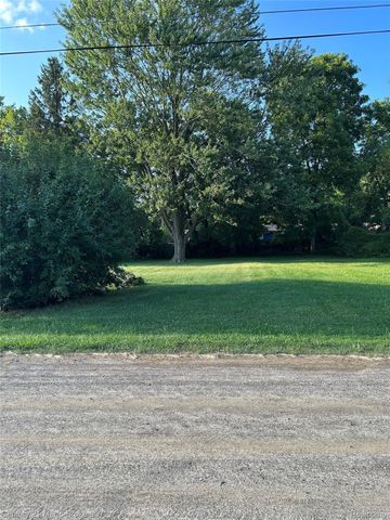 0 W Gracelawn Avenue, Mt. Morris Township, MI 48504