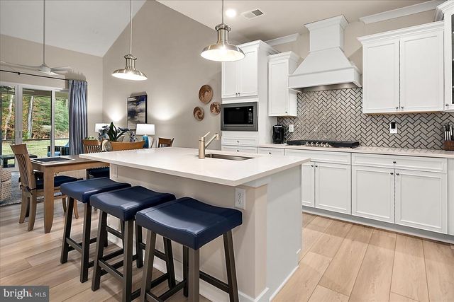 31760 SHAD CREEK WAY, Frankford, DE 19945