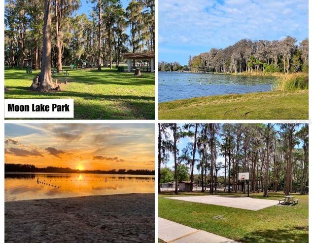 FERN STREET, New Port Richey, FL 34654