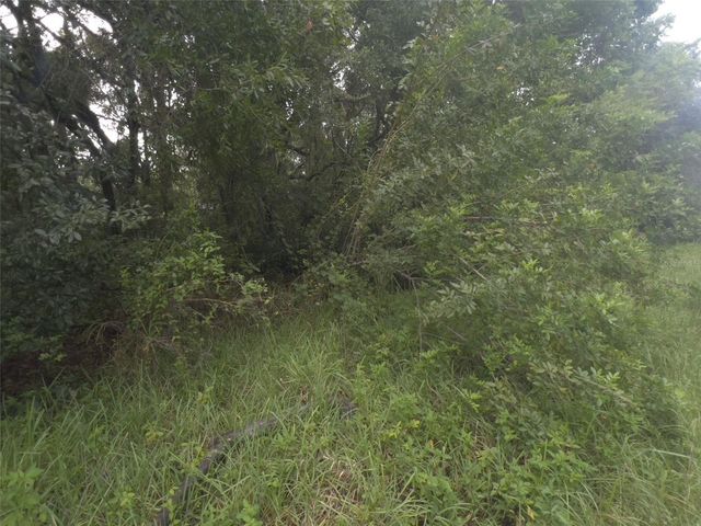 FERN STREET, New Port Richey, FL 34654