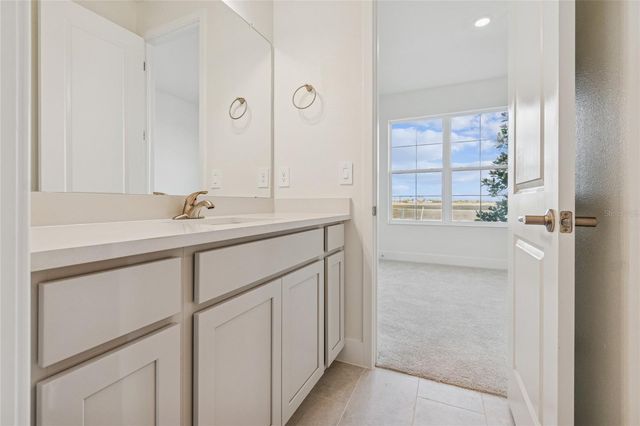 12811 SALTY DOG CROSSING, Palmetto, FL 34221