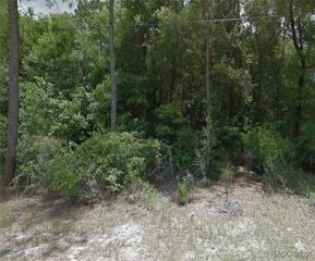 1409 Stowe Street, Inverness, FL 34450