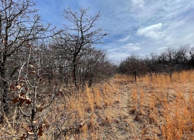 Lot 9 Toad Road, Harrah, OK 73045