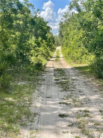 10719 E Tree Lane, Inverness, FL 34450