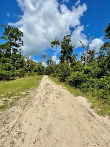 10719 E Tree Lane, Inverness, FL 34450