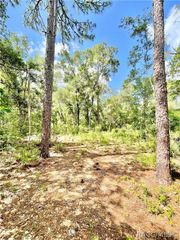 10719 E Tree Lane, Inverness, FL 34450