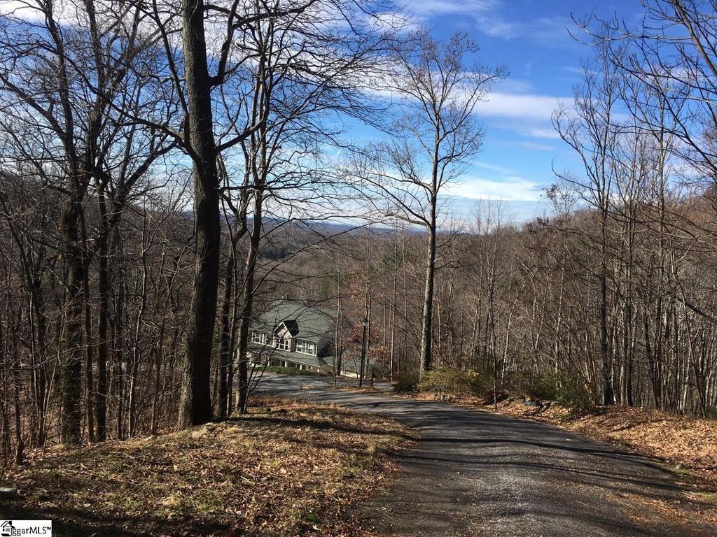 Lot 11 Laurel Hill Lane, Landrum, FL 29356