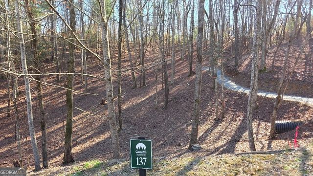 137 Red Oak Trail, East Ellijay, GA 30540