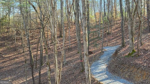 137 Red Oak Trail, East Ellijay, GA 30540