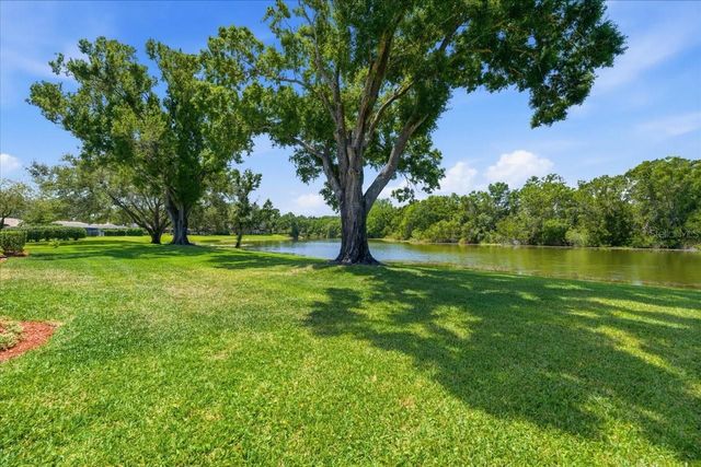 4326 MIDDLE LAKE DRIVE, Tampa, FL 33624