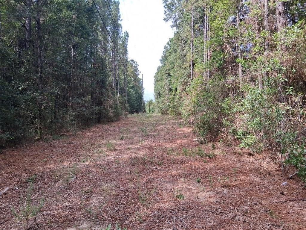 0 Spice Pond Road, Eight Mile, AL 36613 — photo 5