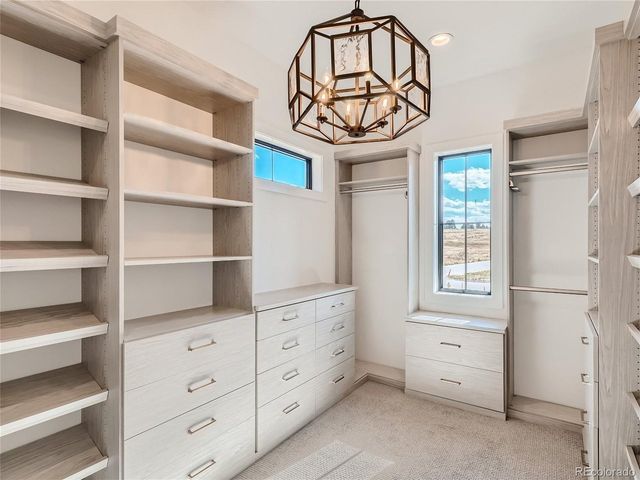 8599 Yellowcress St, Littleton, CO 80125