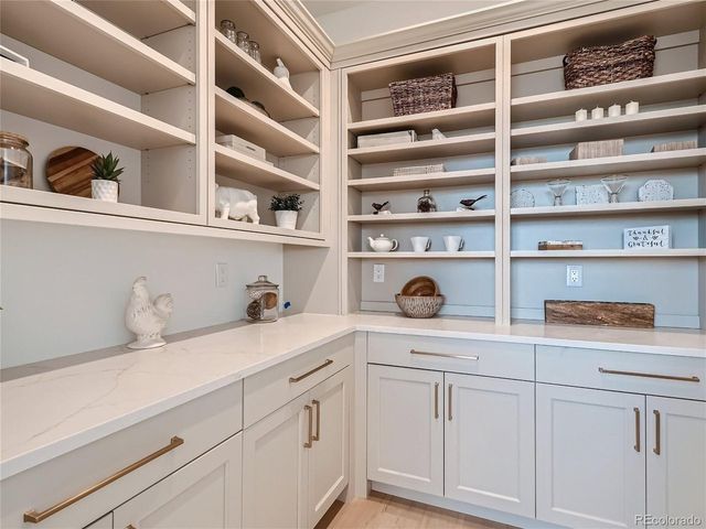 8599 Yellowcress St, Littleton, CO 80125