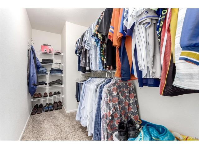 3505 Dinosaur St, Castle Rock, CO 80109