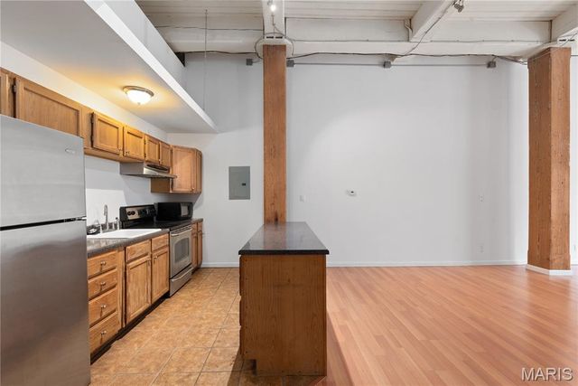 507 N 13th Street 207, St Louis, MO 63103