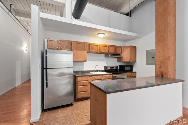 507 N 13th Street 207, St Louis, MO 63103