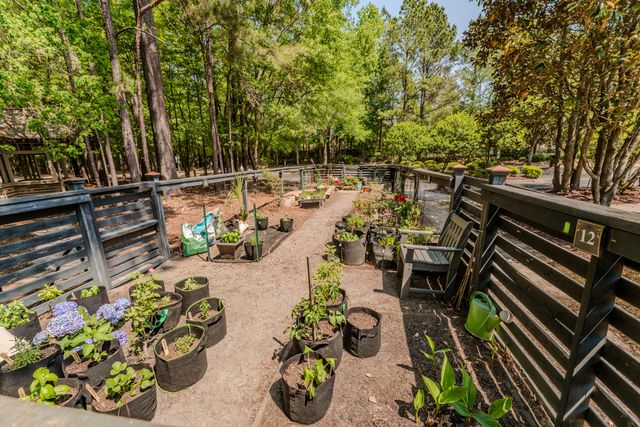 1709 Basildon Road, Mount Pleasant, SC 29466