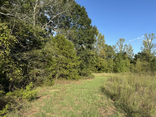 137 CR 2362, Clarksville, TX 75412