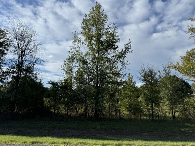 137 CR 2362, Clarksville, TX 75412