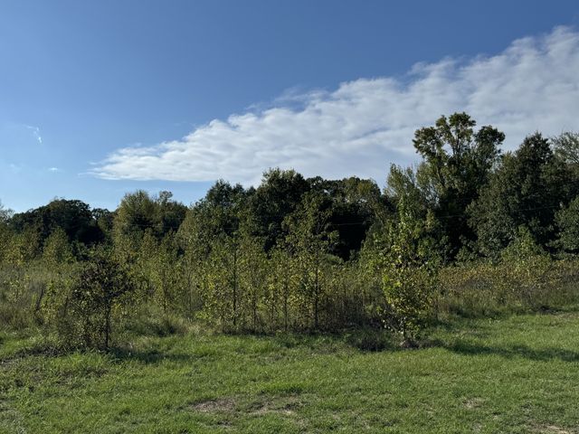 137 CR 2362, Clarksville, TX 75412